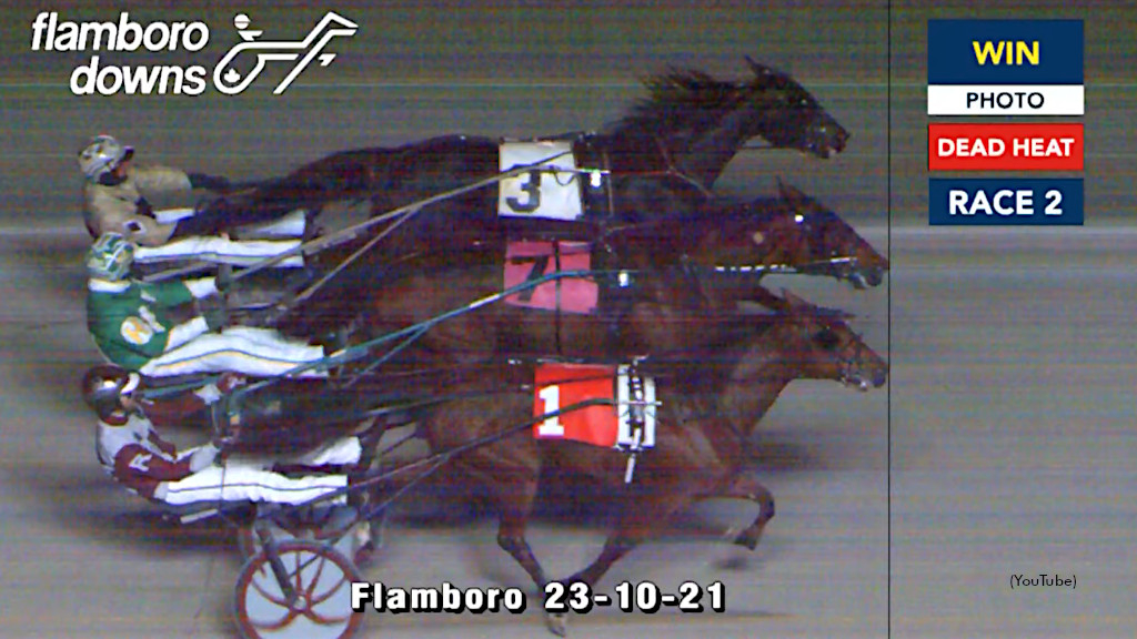 Autumn Series Photo Finish