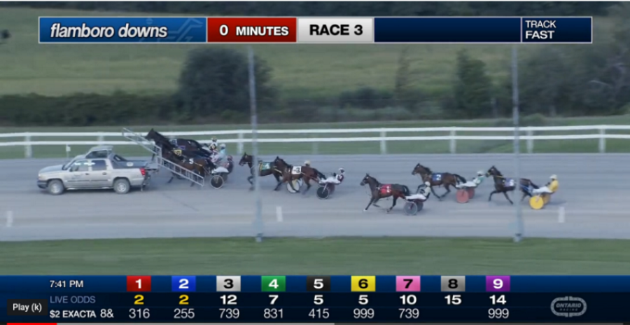 flamboro downs Horses at the start of a race