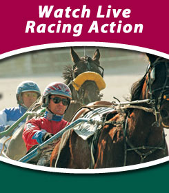 Live Racing Action