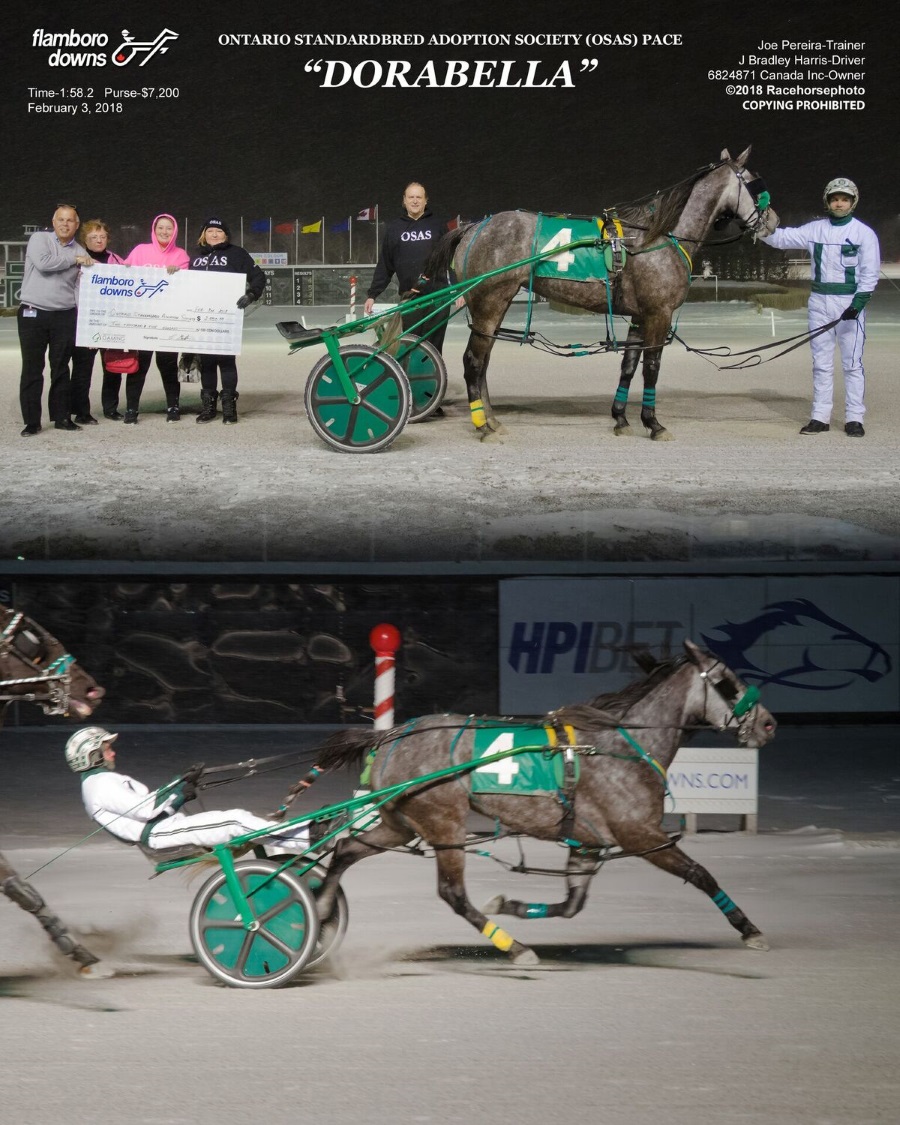 OSAS $2,500 Proud cheque presentation