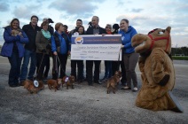 Daschund presentation