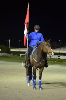 Post Parade lead Horse