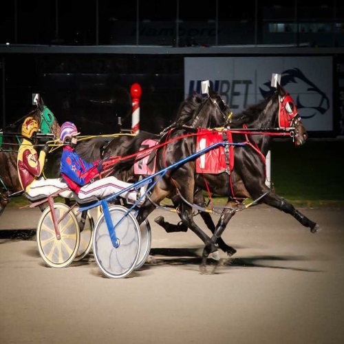 Finish Line action shot which links to calendar page